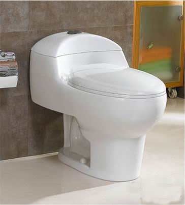 one-piece toilet