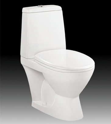 two-piece toilet