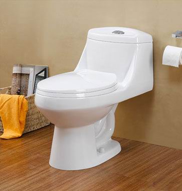 one-piece toilet