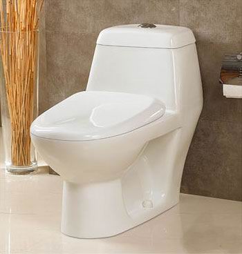 one-piece toilet