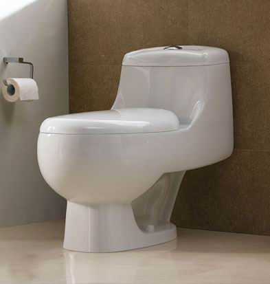 one-piece toilet
