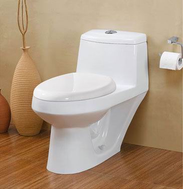 one-piece toilet