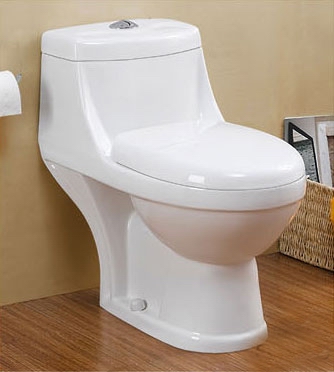 one-piece toilet