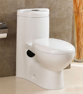 one-piece toilet