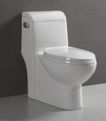 one-piece toilet